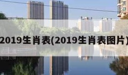 2019生肖表(2019生肖表图片)