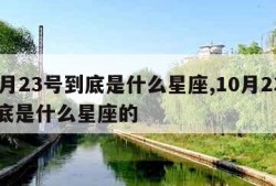 10月23号到底是什么星座,10月23号到底是什么星座的