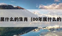 90年属什么的生肖（00年属什么的生肖）