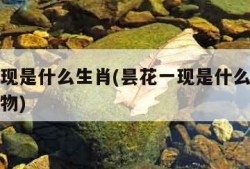 昙花一现是什么生肖(昙花一现是什么生肖代什么动物)