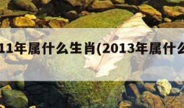 2011年属什么生肖(2013年属什么生肖)