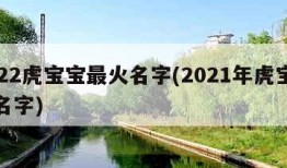 2022虎宝宝最火名字(2021年虎宝宝的名字)