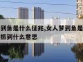 女人梦到鱼是什么征兆,女人梦到鱼是什么征兆没有抓到什么意思