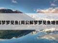 周公解梦梦见鱼(周公解梦梦见鱼塘很多鱼)