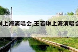 王若琳上海演唱会,王若琳上海演唱会4月18日