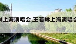 王若琳上海演唱会,王若琳上海演唱会4月18日