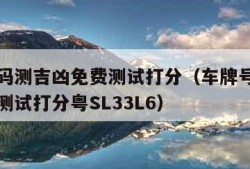 车牌号码测吉凶免费测试打分（车牌号码测吉凶免费测试打分粤SL33L6）