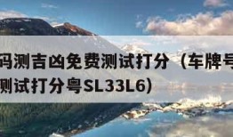 车牌号码测吉凶免费测试打分（车牌号码测吉凶免费测试打分粤SL33L6）