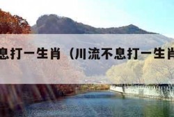 川流不息打一生肖（川流不息打一生肖是什么）