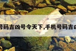 手机号码吉凶号令天下,手机号码吉凶预测