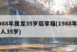 1988年属龙35岁后享福(1988年属龙人35岁)