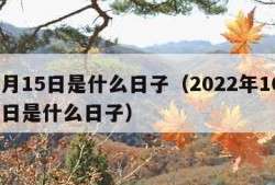 10月15日是什么日子（2022年10月15日是什么日子）