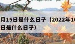 10月15日是什么日子（2022年10月15日是什么日子）