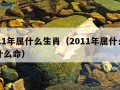 2011年属什么生肖（2011年属什么生肖什么命）