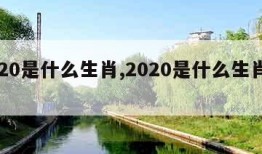 2020是什么生肖,2020是什么生肖的年