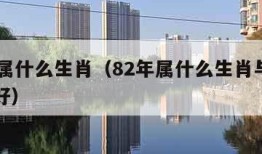 82年属什么生肖（82年属什么生肖与什么配最好）