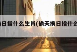 偷天换日指什么生肖(偷天换日指什么生肖2023)