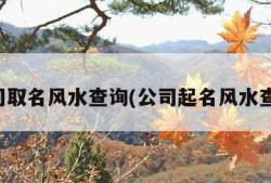 公司取名风水查询(公司起名风水查询)