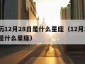 新历12月28日是什么星座（12月28 日是什么星座）