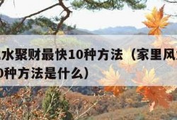 家里风水聚财最快10种方法（家里风水聚财最快10种方法是什么）