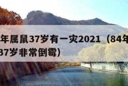 84年属鼠37岁有一灾2021（84年属鼠37岁非常倒霉）