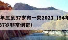 84年属鼠37岁有一灾2021（84年属鼠37岁非常倒霉）