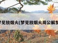 梦见放烟火(梦见放烟火周公解梦)