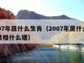 2007年属什么生肖（2007年属什么生肖属相什么猪）