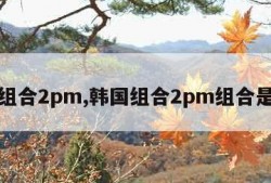 韩国组合2pm,韩国组合2pm组合是什么