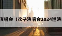 欢子演唱会（欢子演唱会2024巡演时间）