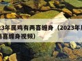 2023年属鸡有两喜缠身（2023年属鸡有两喜缠身视频）