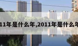 2011年是什么年,2011年是什么年庚