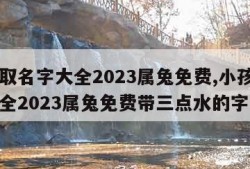 小孩取名字大全2023属兔免费,小孩取名字大全2023属兔免费带三点水的字