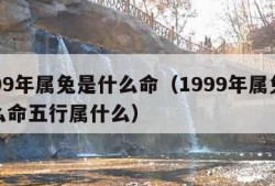 1999年属兔是什么命（1999年属兔是什么命五行属什么）