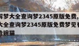 周公解梦大全查询梦2345原版免费,周公解梦大全查询梦2345原版免费梦见有死了的人给碗猫