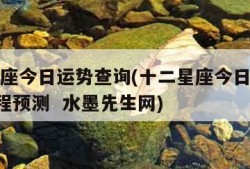 十二星座今日运势查询(十二星座今日运势查询  运程预测  水墨先生网)