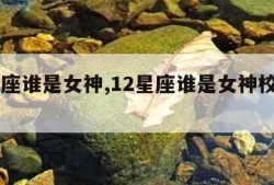 12星座谁是女神,12星座谁是女神校花学霸