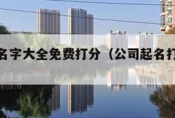 公司起名字大全免费打分（公司起名打分免费网）