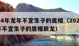 2024年龙年不宜生子的属相（2024年龙年不宜生子的属相辰龙）