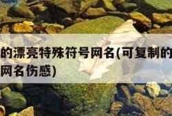 可复制的漂亮特殊符号网名(可复制的漂亮特殊符号网名伤感)