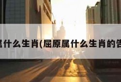 屈原属什么生肖(屈原属什么生肖的告诉我)