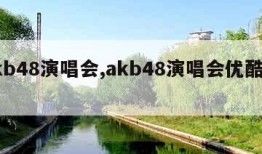 akb48演唱会,akb48演唱会优酷合集