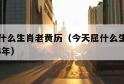 今天属什么生肖老黄历（今天属什么生肖老黄历2024年）