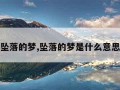 坠落的梦,坠落的梦是什么意思