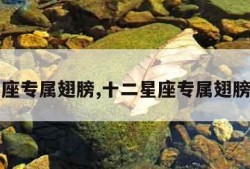 十二星座专属翅膀,十二星座专属翅膀怎么画