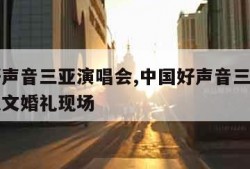 中国好声音三亚演唱会,中国好声音三亚演唱会金志文婚礼现场