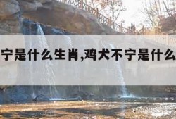 鸡犬不宁是什么生肖,鸡犬不宁是什么生肖谜语