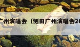 侧田广州演唱会（侧田广州演唱会2023歌单）