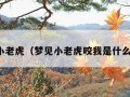 梦见小老虎（梦见小老虎咬我是什么意思）