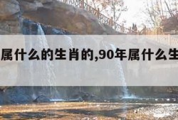 90年属什么的生肖的,90年属什么生肖的属性